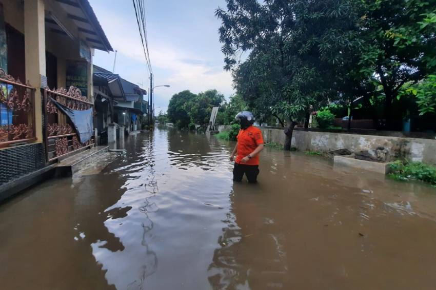 Hujan Deras Disertai Angin Sebabkan Pohon Tumbang dan Banjir di Kota Bekasi