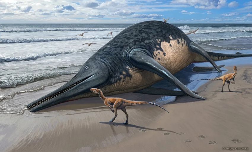 Ichthyosaurus Berusia 202 Juta Tahun Diklaim sebagai Reptil Laut Terbesar di Dunia