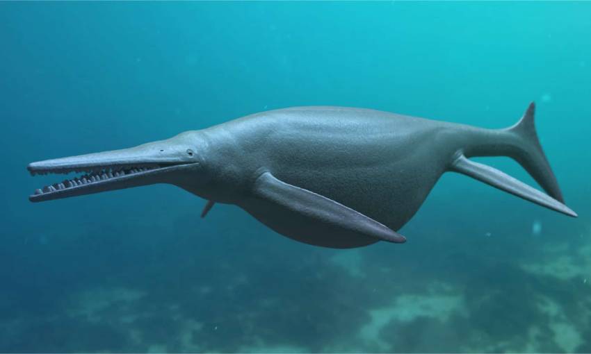 Serupa dengan Lumba-lumba, Fosil Raksasa Spesies Ichthyosaurus Ditemukan
