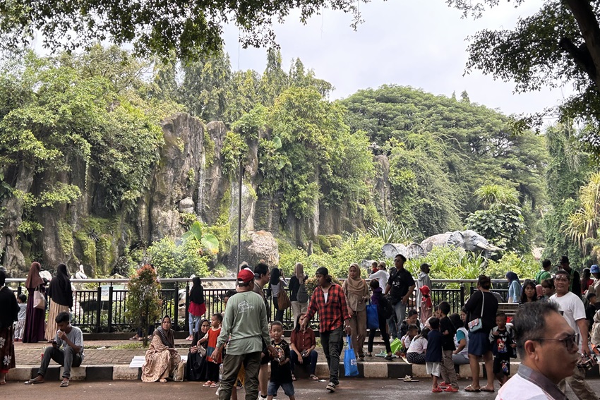 Taman Margasatwa Ragunan Sore Ini Semakin Dipadati Pengunjung