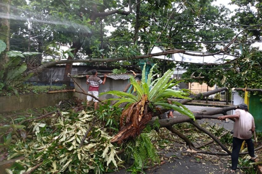 Hujan Deras dan Angin Kencang, BPBD Catat 16 Kejadian Bencana di Kota Bogor