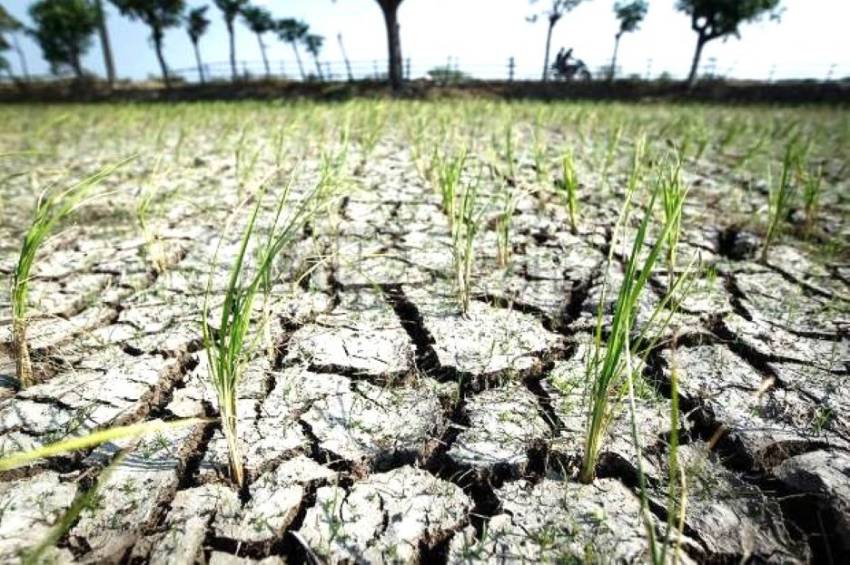 Mentan Amran: Fenomena Cuaca Aneh Mulai Ganggu Sektor Pertanian