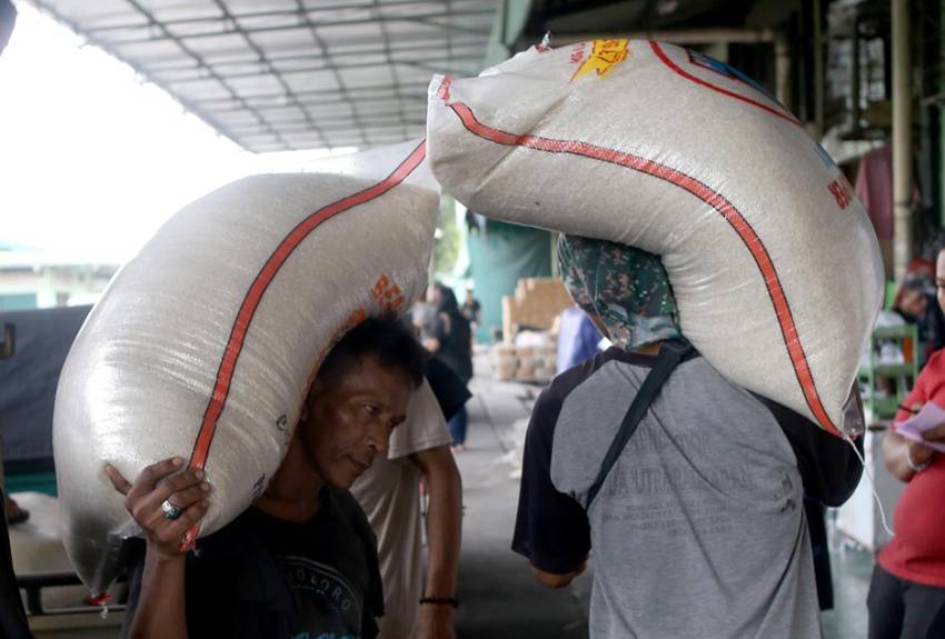 Panen Raya, Indonesia Diprediksi Surplus Beras 850 Ribu Ton hingga April 2024