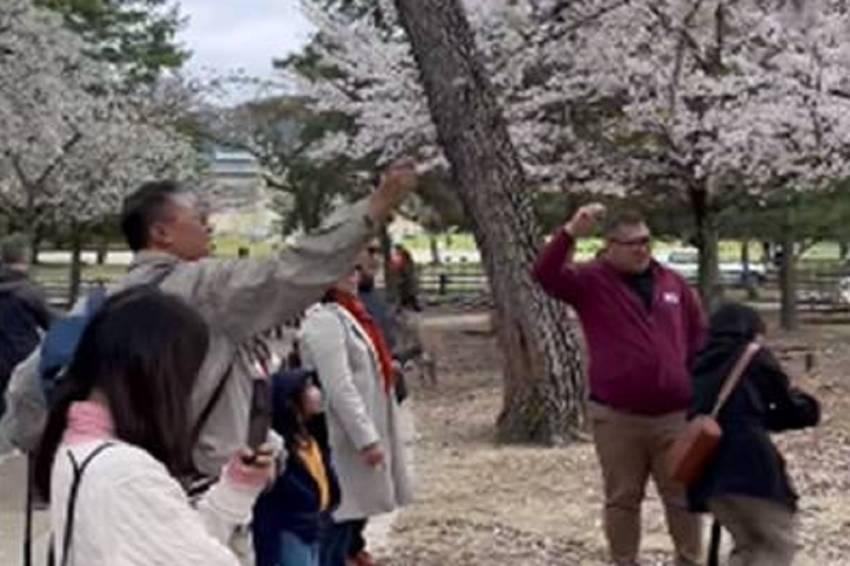 Respons Kemenparekraf soal WNI Rusak Pohon Sakura di Jepang yang Jadi Viral