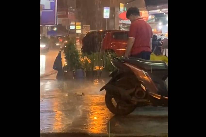 Viral! Kelakuan Seorang Pria Tendang Anak Kucing saat Hujan Deras Bikin Netizen Murka