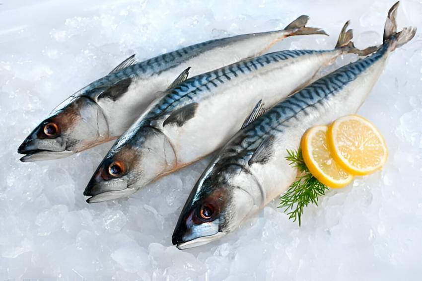 8 Ikan yang Boleh Dimakan Penderita Asam Urat dan Kolesterol