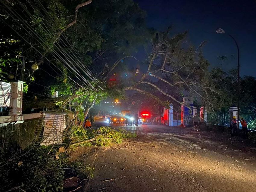 Pohon Tumbang di Kantor DPMD Lebak, Timbulkan Kerusakan dan Kemacetan