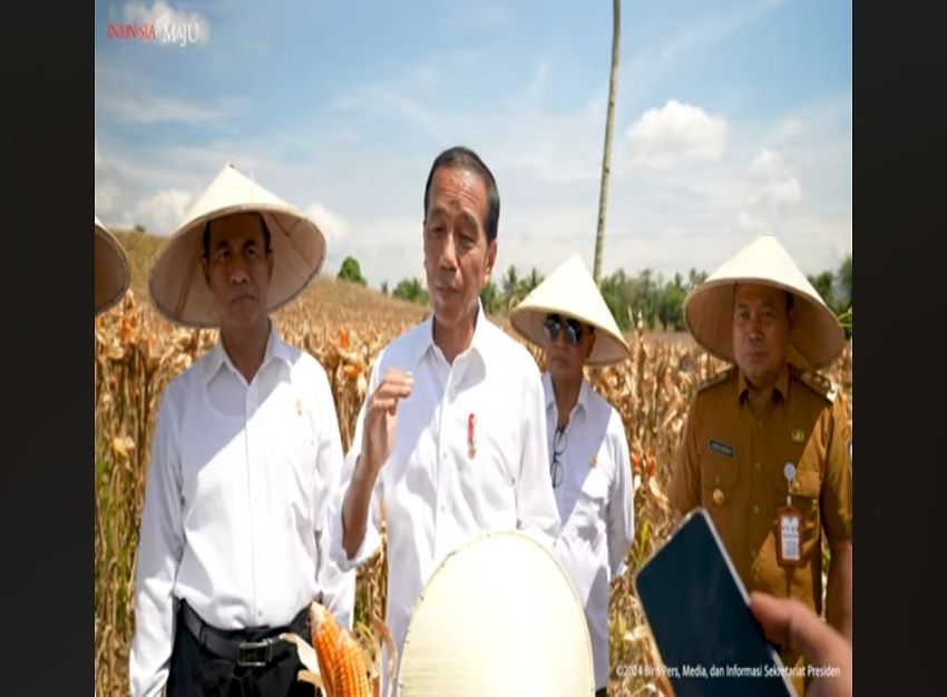 Sikapi Putusan Sengketa Pilpres 2024, Jokowi: Itu Wilayah MK