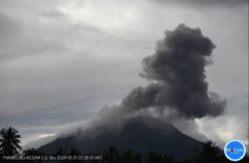 Gunung Ibu Meletus, Semburkan Abu Vulkanik Setinggi 800 Meter
