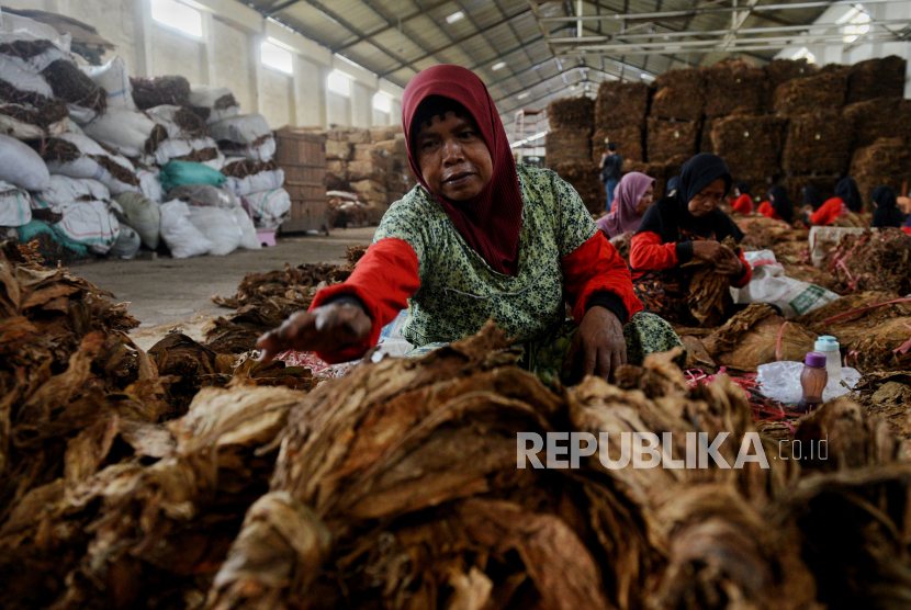 Ini Kata Kemnaker Soal Kemasan Rokok Polos Tanpa Merek