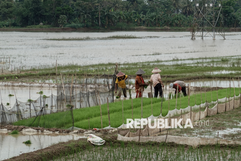 Program TJSL Jasindo Tembus Rp 5,85 Miliar Tahun Ini