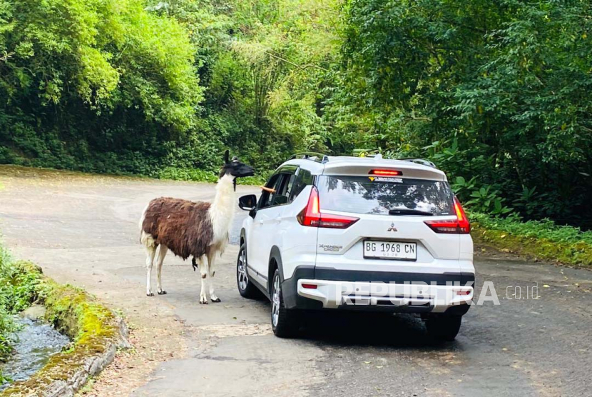 Taman Safari Bogor Berlakukan Tiga Kelas Tarif Tiket Masuk