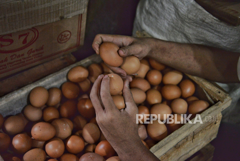 Pemerintah Stabilkan Harga Pangan Pokok Jelang Ramadhan dan Idul Fitri