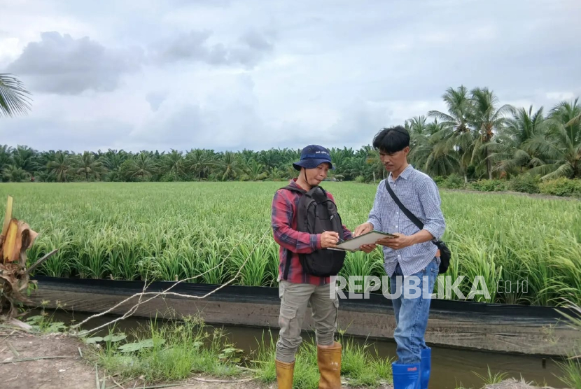 Wamentan: Pembelian Gabah Sesuai HPP, Bagian Dari Komitmen Presiden