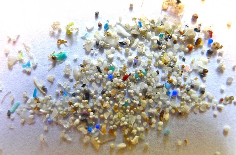 Mikroplastik Sangat Berbahaya bagi Manusia, Ini Penjelasan Guru Besar UI